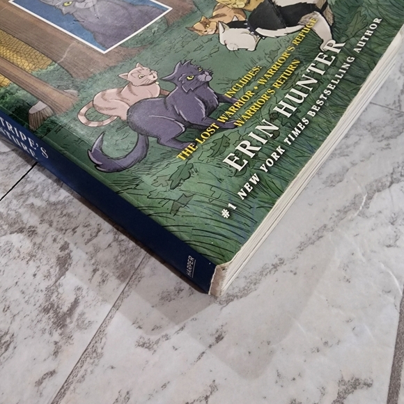 Warriors: Graystripe's Adventure by Erin Hunter - Illustrated Cat Book - Picture 5 of 12